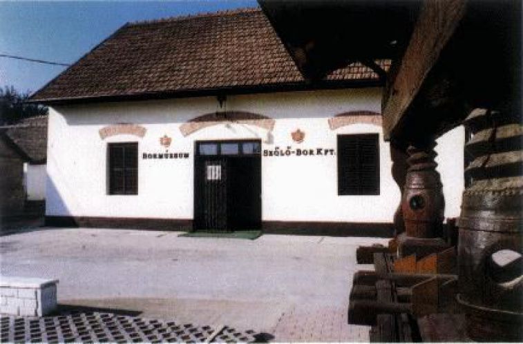 Villányi Bormúzeum