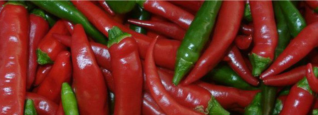 Üdvözöljük a Paprika Vendégház honlapján